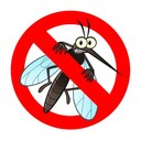 PROVVEDIMENTI  PER LA PREVENZIONE E IL CONTROLLO DELL’INFESTAZIONE DA AEDES ALBOPTICUS (ZANZARA TIGRE) NEL TERRITORIO COMUNALE