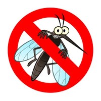 PROVVEDIMENTI  PER LA PREVENZIONE E IL CONTROLLO DELL’INFESTAZIONE DA AEDES ALBOPTICUS (ZANZARA TIGRE) NEL TERRITORIO COMUNALE