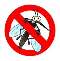 PROVVEDIMENTI  PER LA PREVENZIONE E IL CONTROLLO DELL’INFESTAZIONE DA AEDES ALBOPTICUS (ZANZARA TIGRE) NEL TERRITORIO COMUNALE