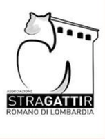 CAMPAGNA DI STERILIZZAZIONE GATTI RANDAGI