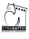 CAMPAGNA DI STERILIZZAZIONE GATTI RANDAGI