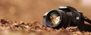 Concorso Fotografico 2025