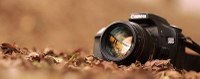 Concorso Fotografico 2025