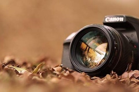 Concorso Fotografico 2025