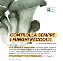 Controlla sempre i funghi raccolti