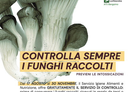 Controlla sempre i funghi raccolti